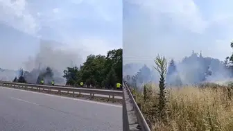 İzmir-Bursa kara yolunda yangın çıktı