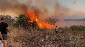 Hatay'da çıkan anız yangını 4 saatlik müdahaleyle söndürüldü