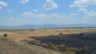Amasya'da buğday ekili arazide yangın : 40 dönüm arazi zarar gördü