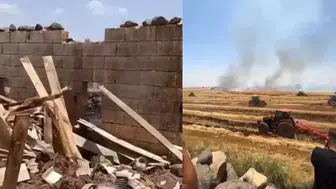 Şanlıurfa Viranşehir'de anız yangını : Büyükbaş hayvan telef oldu