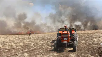 Tekirdağ Çorlu'da 80 dekar buğday ekili alan yandı