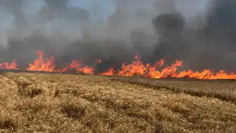 Tekirdağ Hayrabolu'da 400 dönümlük alan yandı