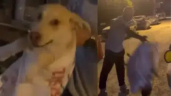 Hatay'da sokak köpeği skandalı : Çuvala koyulan hayvanı kurtardı
