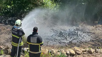 Antakya'da zeytinlik yangını : Alevler evlere sıçramadan söndürüldü