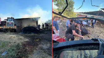 Bursa'da çiftlik yangını : 4 hayvan telef oldu