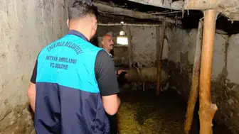 Van'da kuduz vakası : Karantinaya alınan mahallede giriş ve çıkışlar yasaklandı