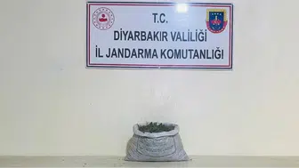 Diyarbakır'da uyuşturucu operasyonu : 19 kilo esrar ele geçirildi