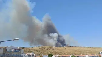 İzmir Dikili'de yangın : Ekipler tarafından kontrol altına alındı