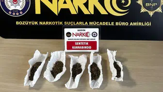 Bilecik'te uyuşturucu operasyonu : Bonzai ele geçirildi