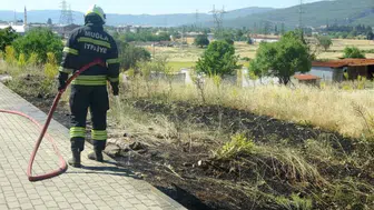 Muğla Menteşe'de sigara izmariti yangına yol açtı