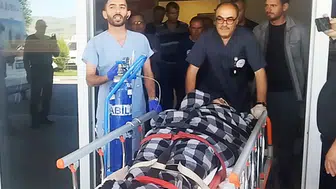 Sivas'ta hayvanlarını otlatan kişiye ayı saldırdı