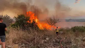 Hatay'da anız yangını bahçelere sıçradı : Ekiplerin müdahalesi sürüyor