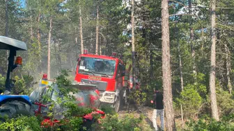 Kütahya'da yıldırım düşmesi sonucu ormanda yangın çıktı