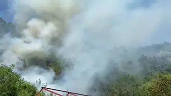 Bursa'da ormanlık alanda yangın : Ekiplerin çalışmaları devam ediyor