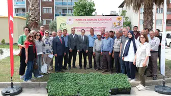 Aydın Buharkent'te 38 bin domates fidesi dağıtıldı