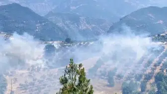 Kahramanmaraş'ta bahçe yangını : Ekipler tarafından kontrol altına alındı