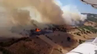 Balıkesir'de ormanlık alanda yangın çıktı
