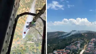 Balıkesir'de çıkan zeytinlik yangını kontrol altına alındı