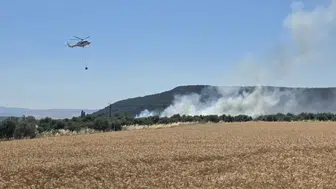 Çanakkale Ezine'de tarım arazisinde yangın çıktı