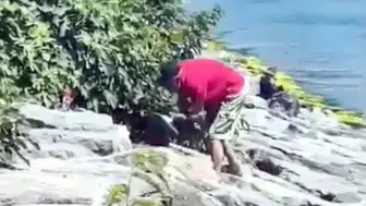 Avcılar'da köpeğe şiddet uygulayan şahıs gözaltına alındı