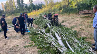 Isparta'da tarla temizliği sırasında kaza : Kestiği ağacın altında kalan adam hayatını kaybetti