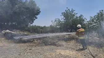 Hatay Hassa'da otluk alanda yangın