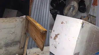 Rize'de bir ayı, 20 eve girerek maddi hasara neden oldu