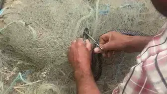 Hatay'da balık ağına dolanan 1,5 metrelik kara yılanı elleriyle kurtardı
