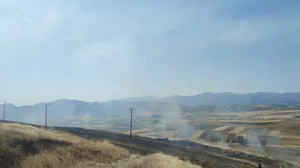 Elazığ'da rüzgarla yayılan alevler 40 dönümlük arpa tarlasını küle çevirdi