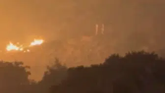 Alanya ve Foça orman yangınları kontrol altına alındı