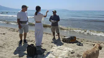 Üreme dönemindeki 3 caretta caretta Aydın ve İzmir kıyılarında ölü bulundu