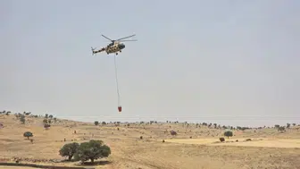 Antalya Kepez’de ormanı tehdit eden yangın kontrol altına alındı
