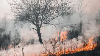 Ankara'da ot yangını : Havadan ve karadan müdahale ediliyor