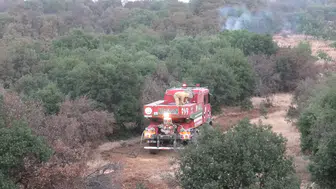 Adıyaman Besni'de orman yangını : Ekipler kontrol altına aldı