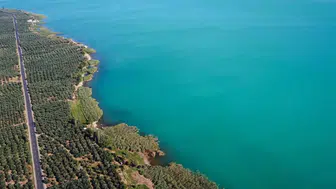 İznik Gölü'nün rengi değişti