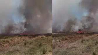 Denizli Acıpayam'da tarlada yangın çıktı