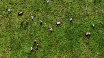 665. Tarihi Kırkpınar Yağlı Güreşleri'nde ikinci gün müsabakaları başladı