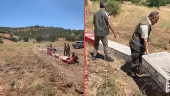 Elazığ'da kene ile mücadele kapsamında 300 kınalı keklik doğaya bırakıldı