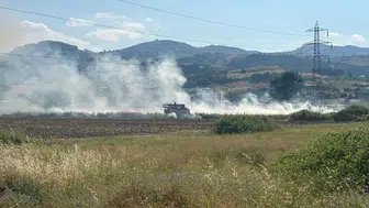 Samsun Tekkeköy'de samanlıkta yangın paniği : Alevler büyümeden söndürüldü