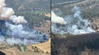 Bursa Büyükorhan'da orman yangını