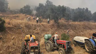 Gömeç ve Ayvalık'ta orman yangını