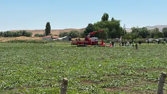 Ankara'da düşen eğitim helikopterinin enkazı vinçle kaldırıldı