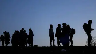 Muğla'da düzensiz göçmen operasyonu : 67 göçmen yakalandı