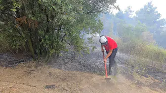 Mudanya'da bağ evinde çıkan yangın zeytinlik ve ormanlık alana sıçradı