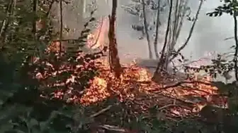 Bursa'da çıkan orman yangını, büyümeden söndürüldü