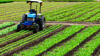 Tarım ürünleri üretici fiyat endeksi aylık yüzde 9,02 azaldı