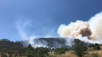Balıkesir Kepsut'ta ormanlık alanda yangın