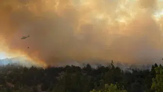 Bilecik'teki anız yangını ormanlık alana sıçradı