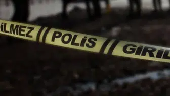 Samsun'da yaşlı adam kestiği ağacın altında kalıp hayatını kaybetti