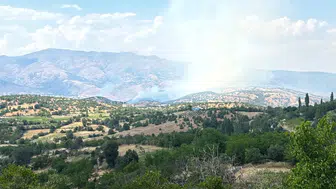 Malatya Pütürge'de orman yangını söndürüldü